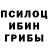 Галлюциногенные грибы MAGIC MUSHROOMS CHR_Tresher _
