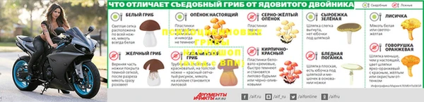 ГАЛЛЮЦИНОГЕННЫЕ ГРИБЫ Армянск