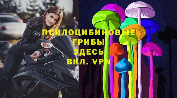 ГАЛЛЮЦИНОГЕННЫЕ ГРИБЫ Армянск