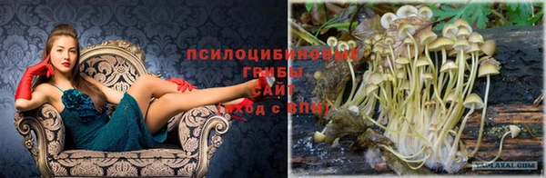 ГАЛЛЮЦИНОГЕННЫЕ ГРИБЫ Армянск