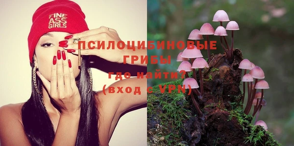 ГАЛЛЮЦИНОГЕННЫЕ ГРИБЫ Армянск