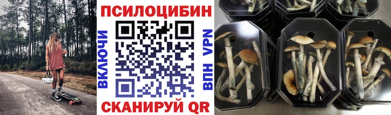 Галлюциногенные грибы MAGIC MUSHROOMS  Мещовск 